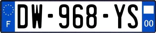 DW-968-YS