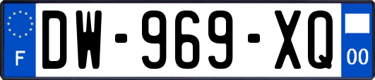 DW-969-XQ