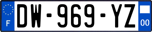 DW-969-YZ