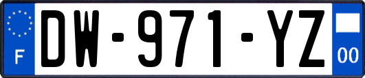 DW-971-YZ