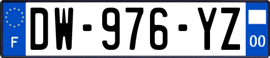 DW-976-YZ