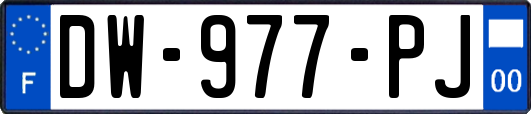 DW-977-PJ