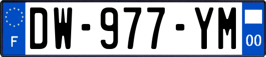 DW-977-YM