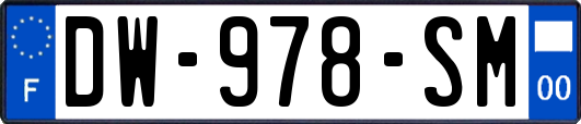 DW-978-SM