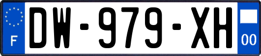 DW-979-XH