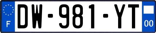 DW-981-YT