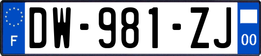 DW-981-ZJ