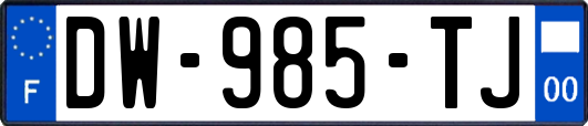 DW-985-TJ