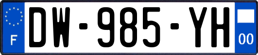 DW-985-YH