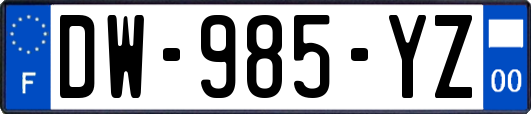 DW-985-YZ