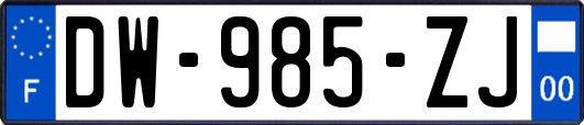 DW-985-ZJ