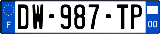 DW-987-TP