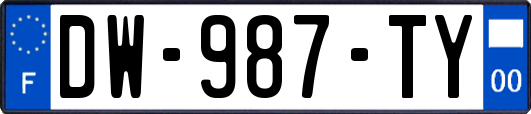 DW-987-TY