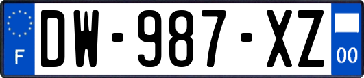 DW-987-XZ