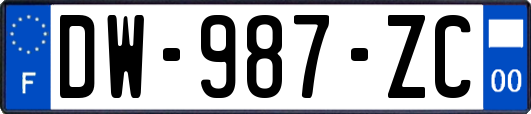 DW-987-ZC