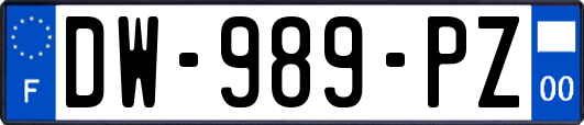 DW-989-PZ