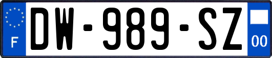 DW-989-SZ