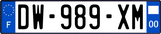 DW-989-XM