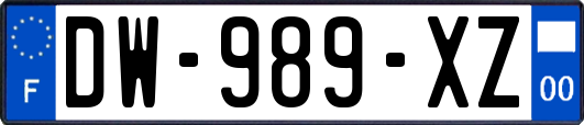 DW-989-XZ