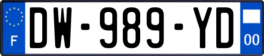 DW-989-YD