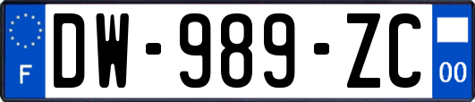 DW-989-ZC