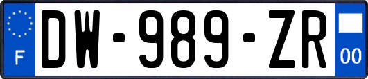 DW-989-ZR