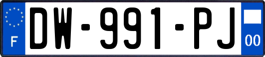 DW-991-PJ