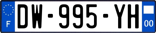 DW-995-YH