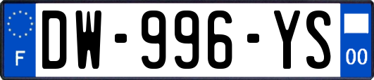 DW-996-YS