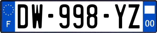 DW-998-YZ