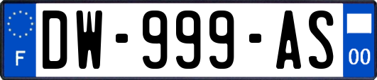 DW-999-AS