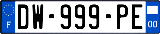 DW-999-PE