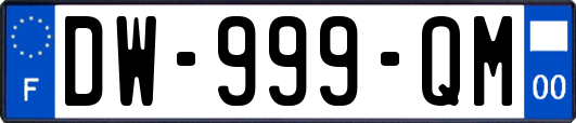 DW-999-QM