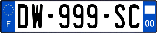 DW-999-SC