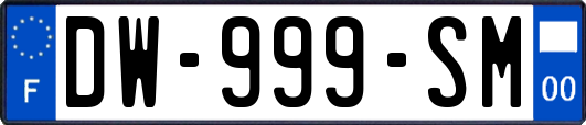 DW-999-SM