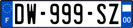 DW-999-SZ