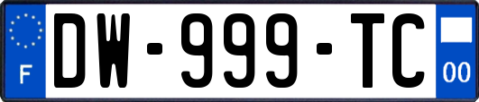 DW-999-TC