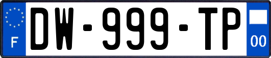 DW-999-TP