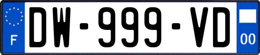 DW-999-VD