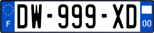 DW-999-XD