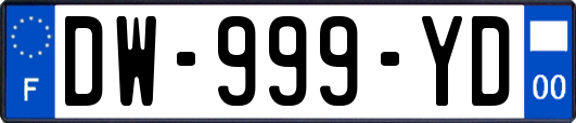 DW-999-YD