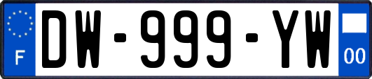 DW-999-YW