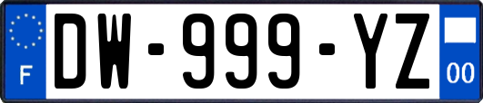 DW-999-YZ