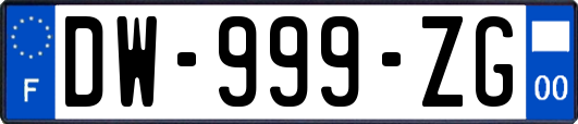 DW-999-ZG