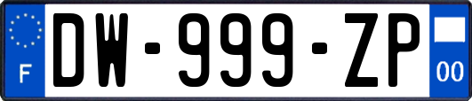 DW-999-ZP