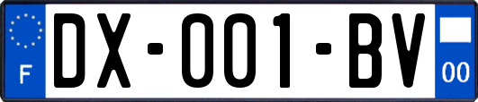 DX-001-BV