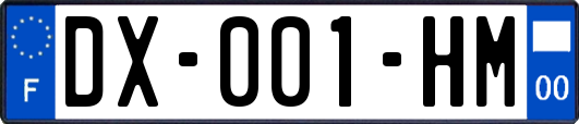DX-001-HM