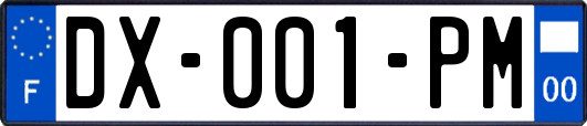 DX-001-PM