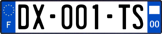 DX-001-TS