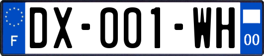 DX-001-WH
